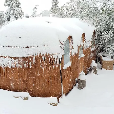 Tiny House Igluhut Apartment Hergensweiler Exterior photo