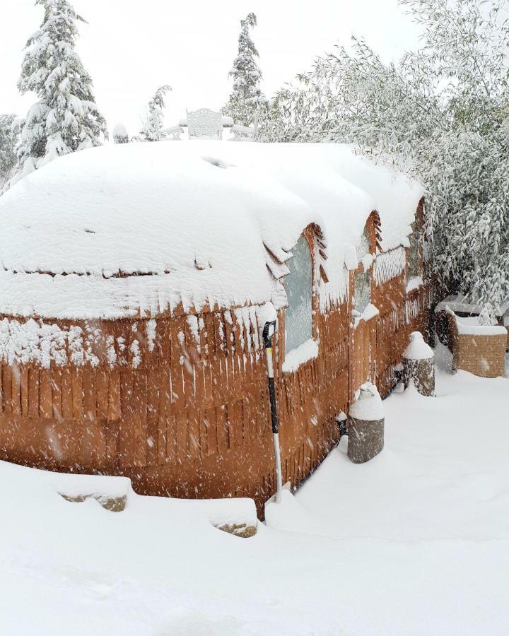 Tiny House Igluhut